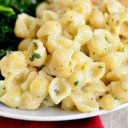 Creamy Garlic Shells