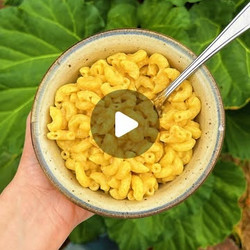 Cheesy Pasta