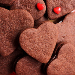Double Chocolate Sugar Cookies