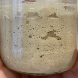Gluten-free Buckwheat Sourdough Starter Recipe