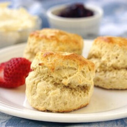 Authentic British Scones