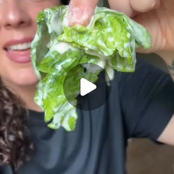 Low Calorie High Protein Dressing