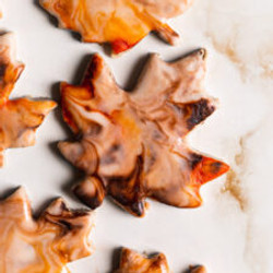 Spiced Pecan Sugar Cookies