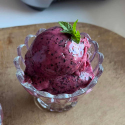 3 Ingredient Healthy Blueberry Sorbet
