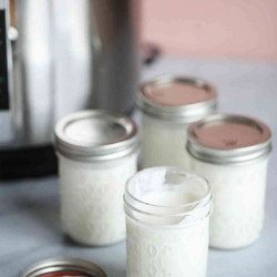 The Best Instant Pot Yogurt