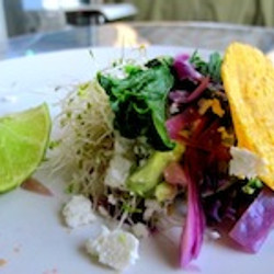 Kale Tacos