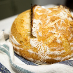 Basic Sourdough Artisan Boule