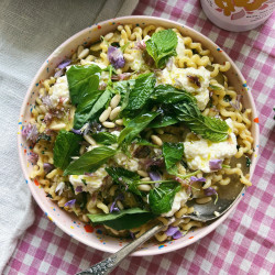 Summer Zucchini Pasta