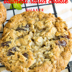 Original Quaker Oatmeal Raisin Cookie Recipe