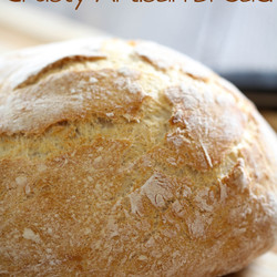 No-knead Crusty Artisan Bread - Chef In Training