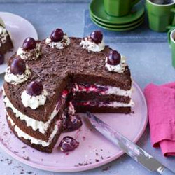 Black Forest Gâteau (chocolate Genoise sponge)