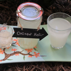 Coconut Water Kefir