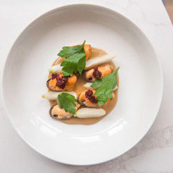Marinated Mussels