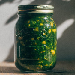 Fermented wild garlic salsa