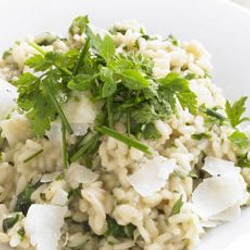 Herb &amp; Parmesan Risotto