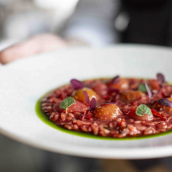 Tarrawarra Estate’s Tomato Risotto