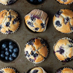 Vegan Blueberry Muffins