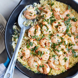 Copy of Shrimp Scampi With Orzo