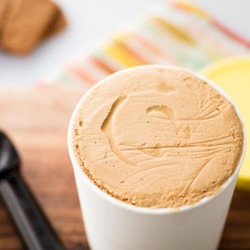 Homemade Speculoos Ice Cream