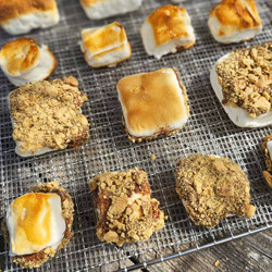 Dehydrated Roasted Marshmallow S'mores