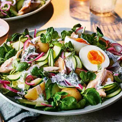 Smoked Mackerel &amp; Cucumber Salad