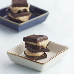 Chocolate &amp; Nut Butter Bites