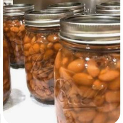 Canned Dried Beans