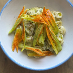Grated Zucchini Orecchiette