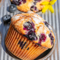 Sourdough Blueberry Yogurt Muffins