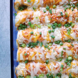 Cream Cheese Chicken Enchiladas