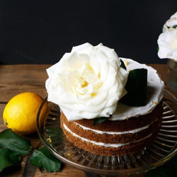 Lemon Poppy Seed Cake (gluten-free &amp; Vegan)