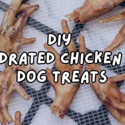 Diy Dehydrated Chicken Feet Dog Chews