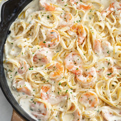 Shrimp Alfredo