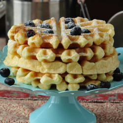Gluten Free Belgian Waffles