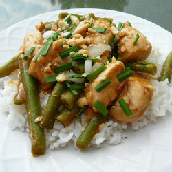 Erin's Indonesian Chicken