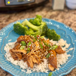 Crockpot Honey Garlic Chicken