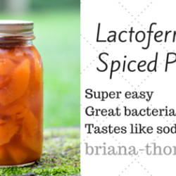 Lactofermented Spiced Peaches