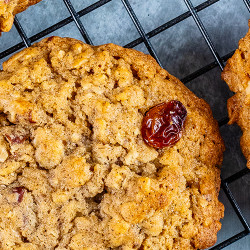 Cranberry Nut Cookie