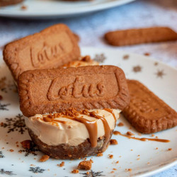 No Bake Mini Biscoff Cheesecakes
