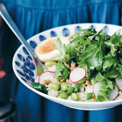 Cibi's Chicken Soboro Bowl