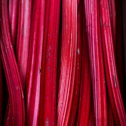 Rhubarb Kimchi Recipe
