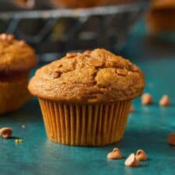 Moist Sourdough Pumpkin Muffins With Cinnamon Chips