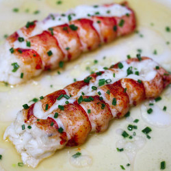 Sous Vide Lobster In Garlic Butter Sauce