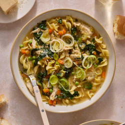 Chicken And Leek Noodle Soup