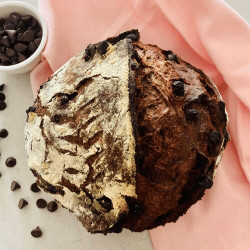 Chocolate Sourdough Discard Loaf Recipe