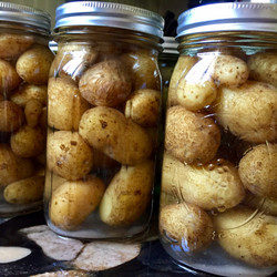 Canned Potatoes