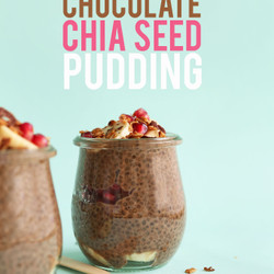 Cacao Chia Yogurt Pudding
