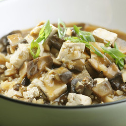 Braised Tofu with Shitaki Mushrooms