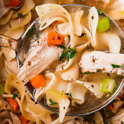 Instant Pot Chicken Noodle Soup