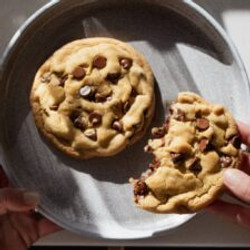 Two Huge Chocolate Chip Cookies